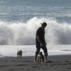 Meet your Posher, Matt